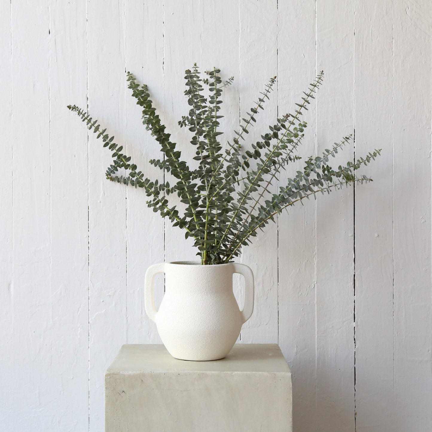 Dried eucalyptus available at Rook & Rose.