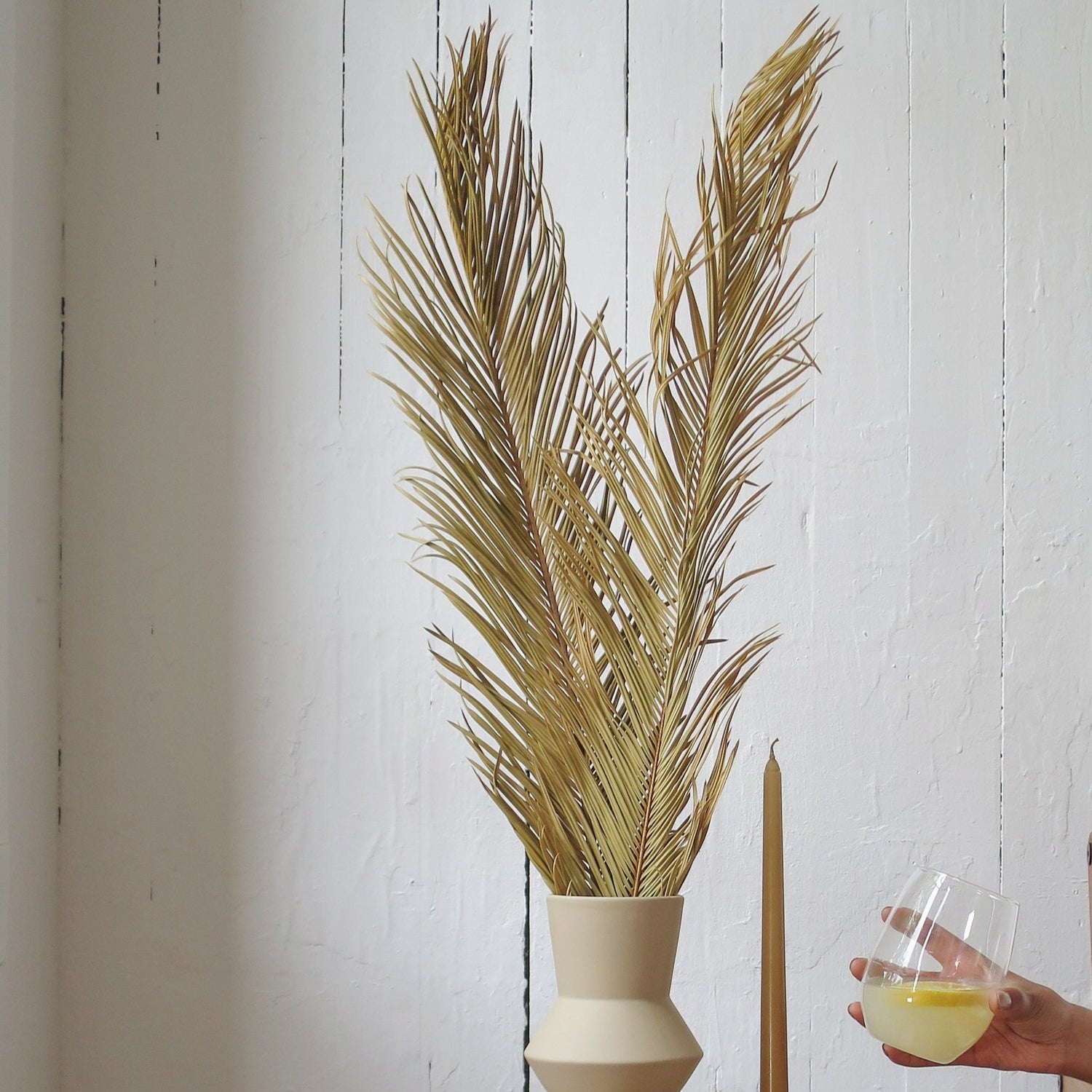 Dried sago palm leaf available at Rook and Rose.