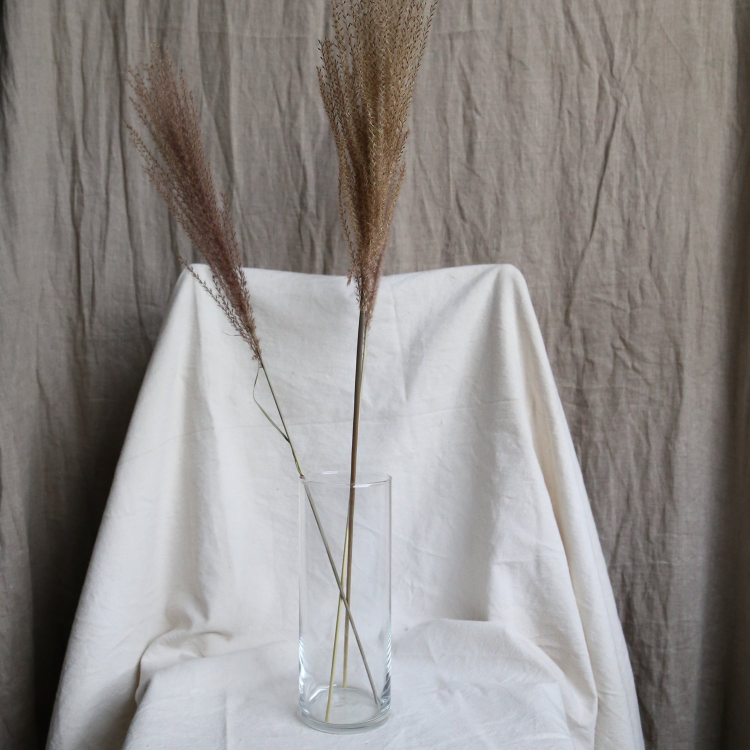 Brown eulaila grass bunch available at Rook & Rose.