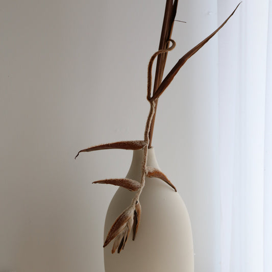 Dried heliconia stem available at Rook & Rose.
