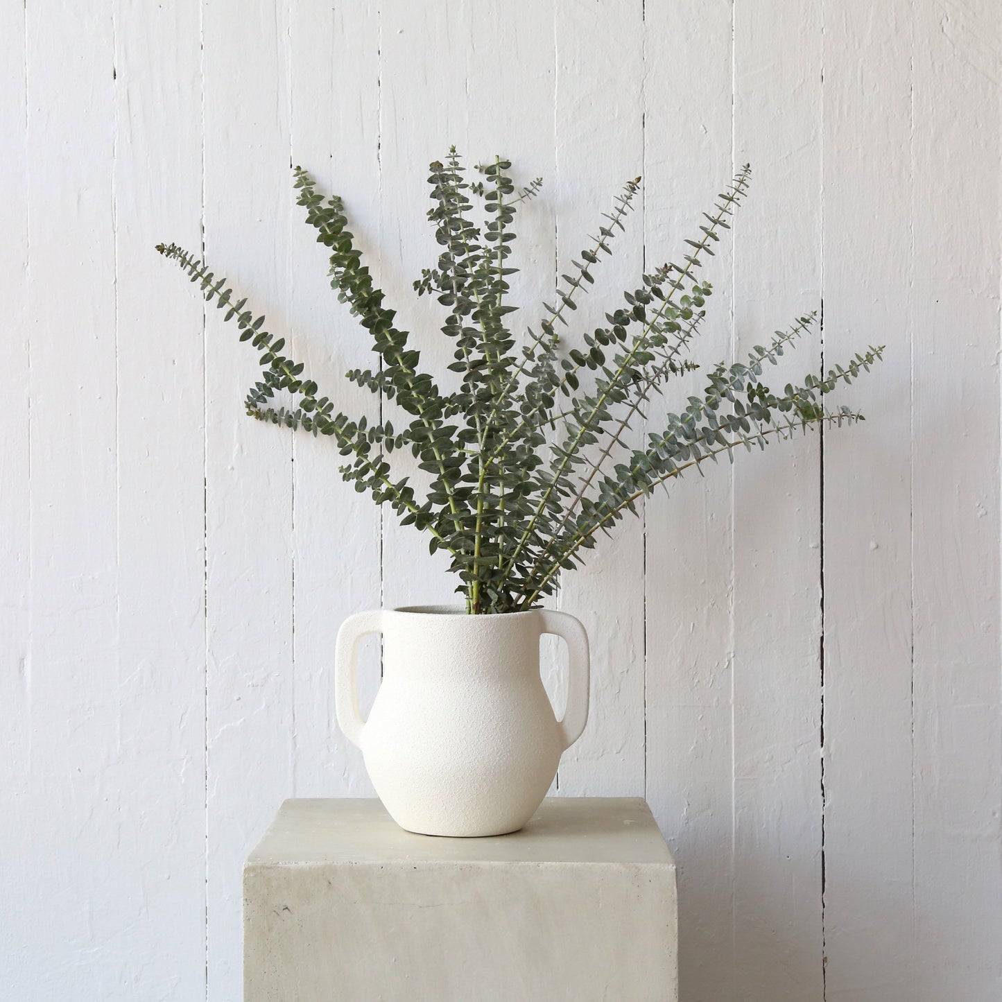 Bunches of fresh eucalyptus available at Rook & Rose.