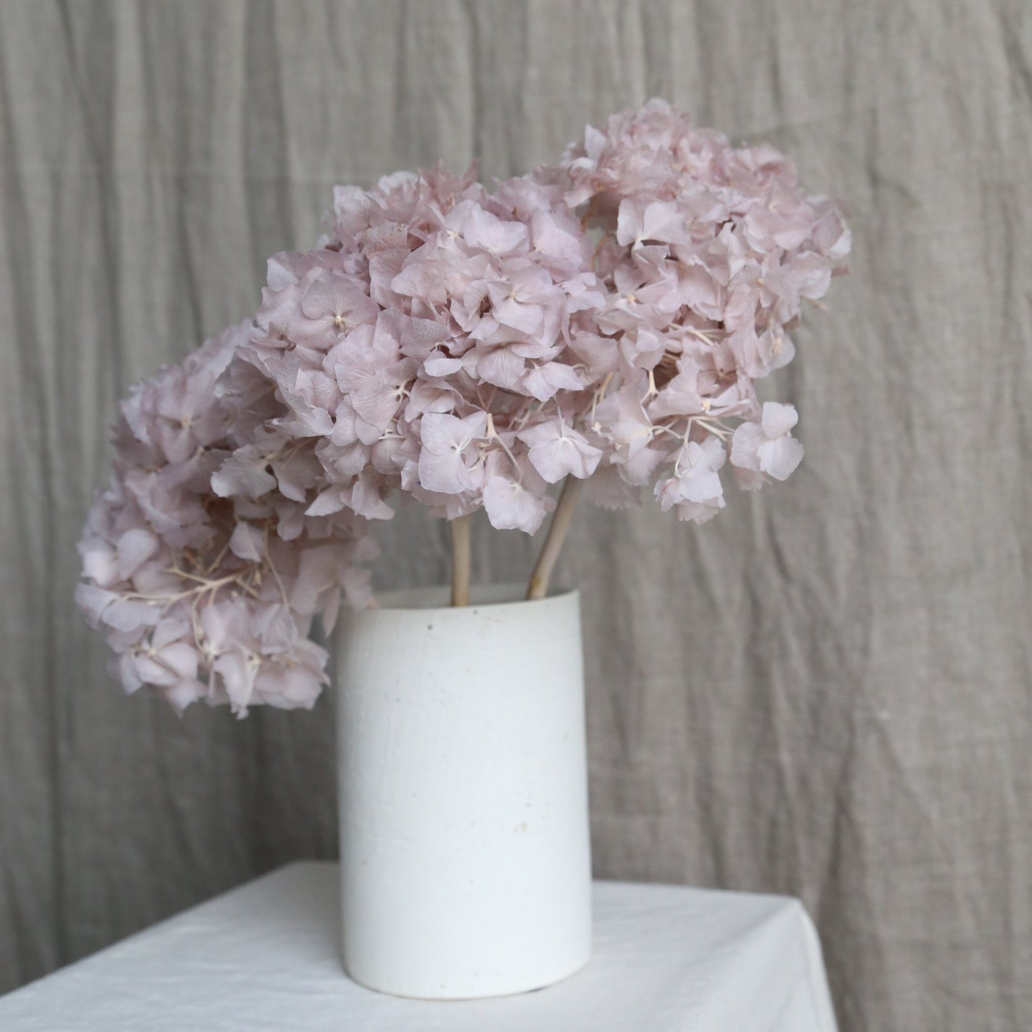 Lilac everlasting hydrangea available at Rook & Rose.