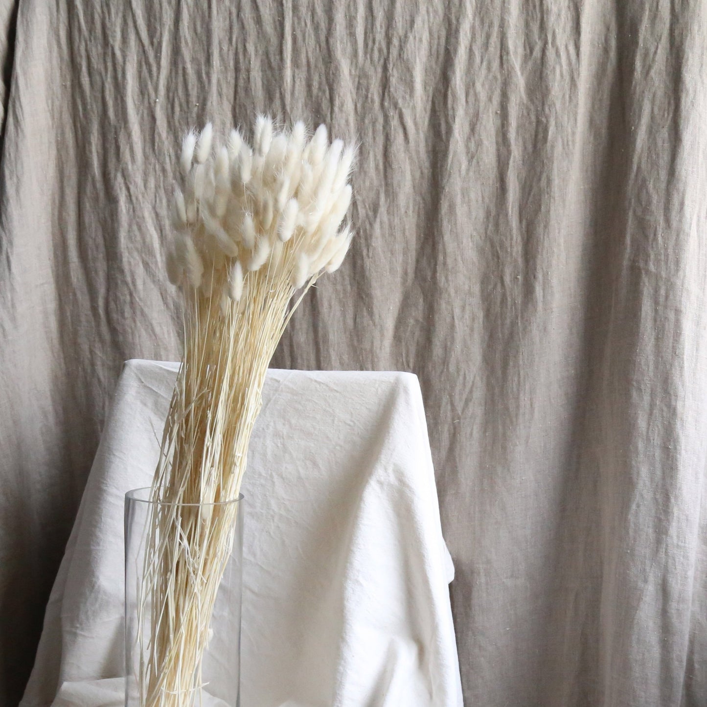 Dried white bunny tail grass available at Rook & Rose.