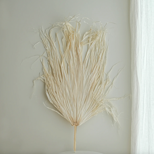 Dried extra large white palm available at Rook & Rose.